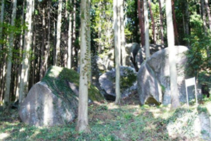 kyoseki